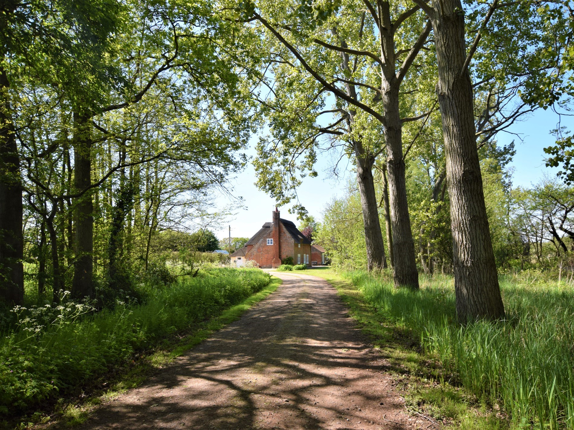 The treelined approach to the cottage
